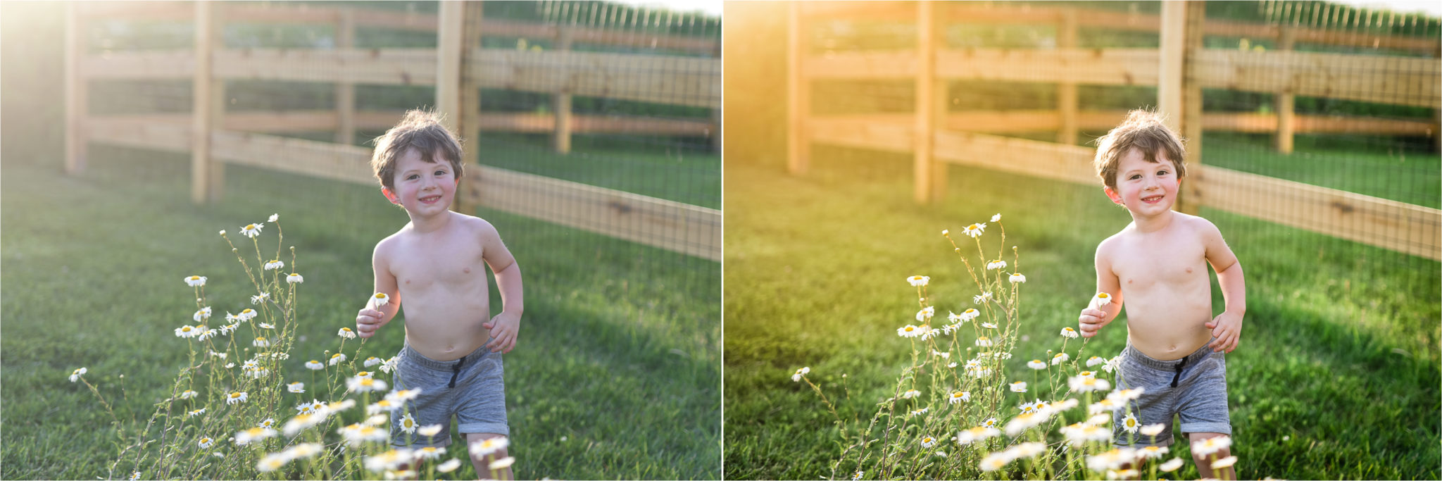 how-to-edit-golden-hour-photos-with-color